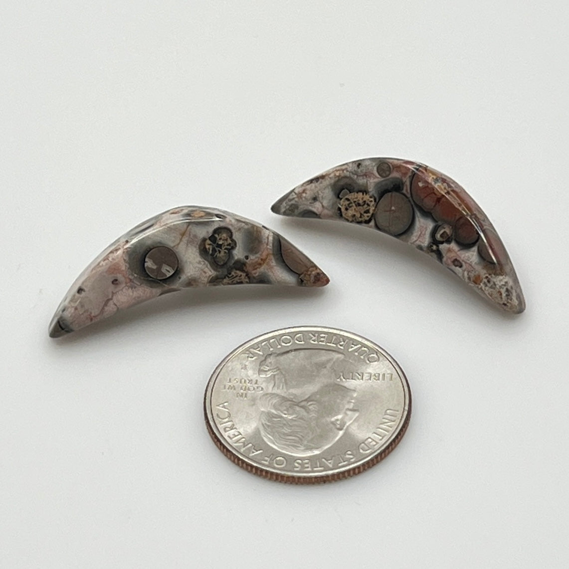 Asteroid jasper crescent moon earrings with silver-tone posts