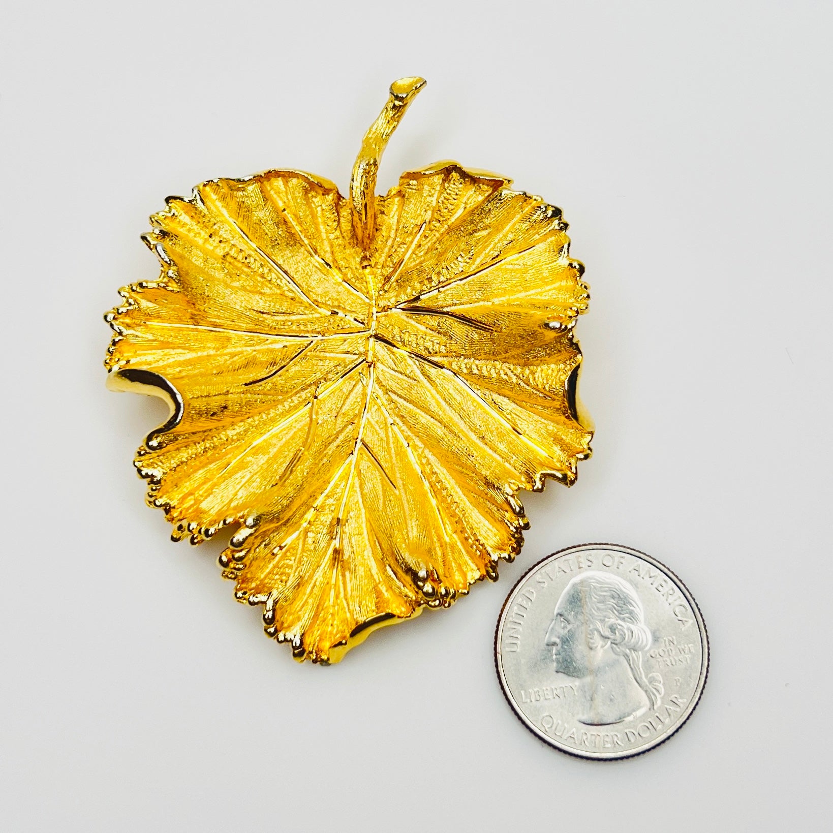 Large gold leaf brooch beside quarter for scale